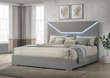 Ives - Panel Bed LED Headboard