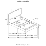 Dorian - Upholstered Panel Bed