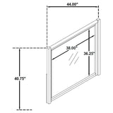 Leandro - Dresser Mirror - Burnished Black