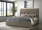 Delsea - Upholstered Platform Bed
