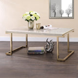 Boice II - Coffee Table - Faux Marble Top & Champagne