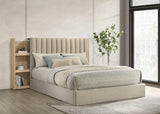 Arielle - Bookcase Panel Storage Bed