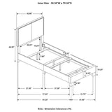 Boyd - Upholstered Panel Bed