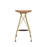 Dragea - Bar Stool (Set of 2) - Whiskey PU & Gold