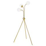 Miley - Spherical Bulb Tripod Tree Floor Lamp - Gold